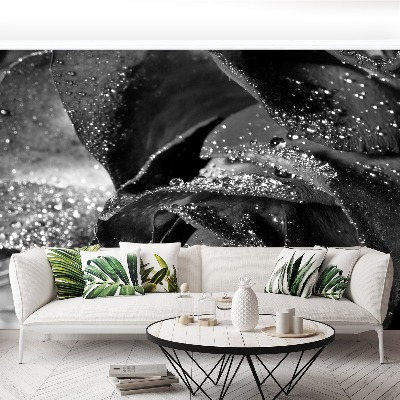 Papel de parede Água de rosas