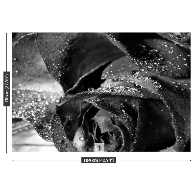 Papel de parede Água de rosas