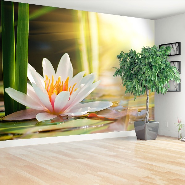 Papel de parede Lagoa de Lótus