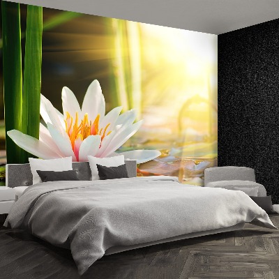 Papel de parede Lagoa de Lótus