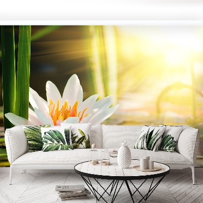 Papel de parede Lagoa de Lótus