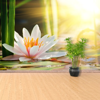 Papel de parede Lagoa de Lótus