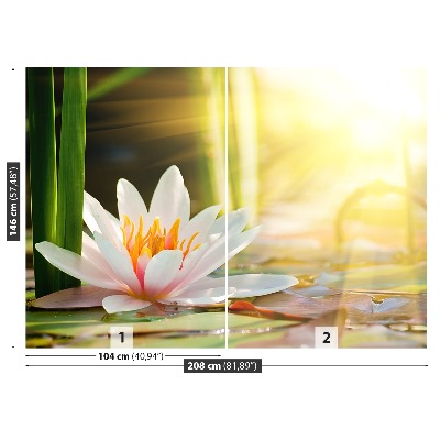 Papel de parede Lagoa de Lótus