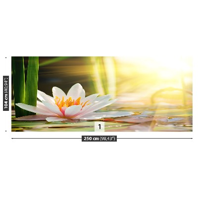 Papel de parede Lagoa de Lótus