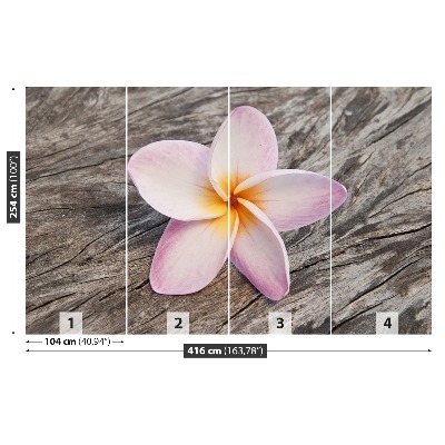 Mural de parede Madeira de Frangipani