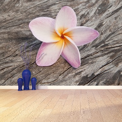 Mural de parede Madeira de Frangipani