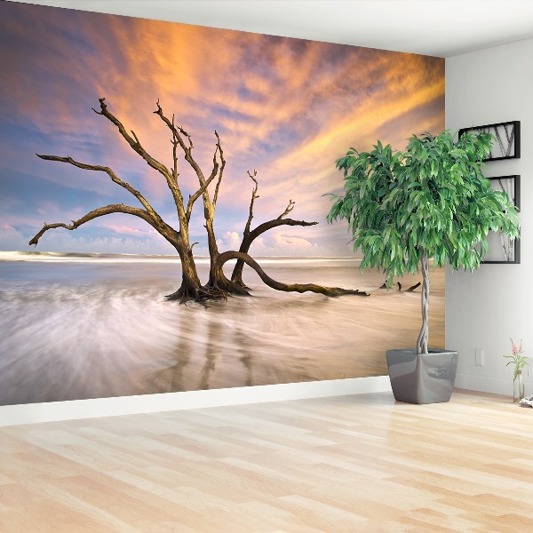 Papel de parede Árvore morta