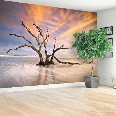 Papel de parede Árvore morta