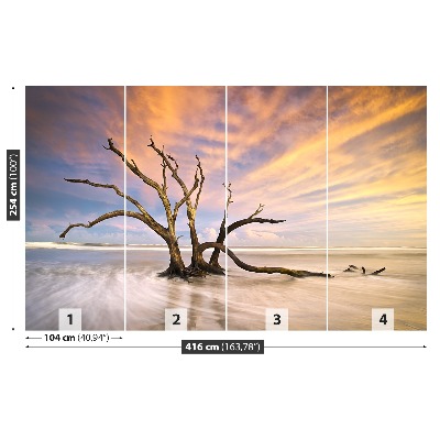 Papel de parede Árvore morta