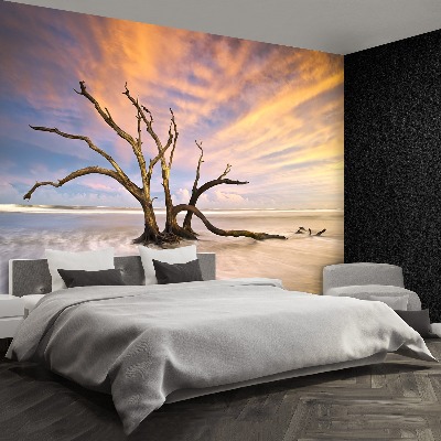 Papel de parede Árvore morta