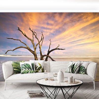 Papel de parede Árvore morta