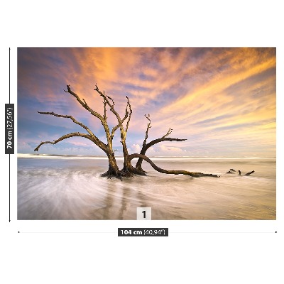 Papel de parede Árvore morta