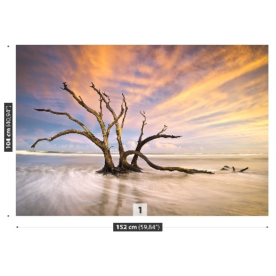 Papel de parede Árvore morta