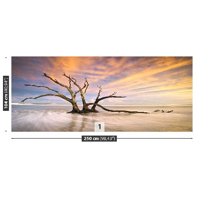 Papel de parede Árvore morta