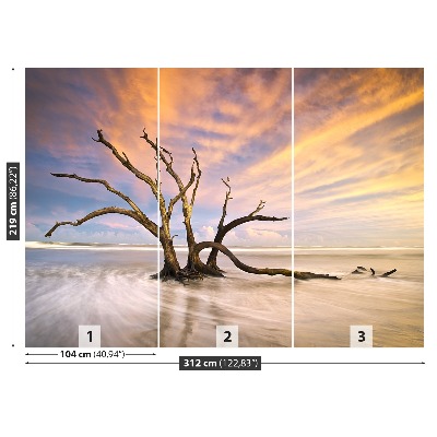 Papel de parede Árvore morta