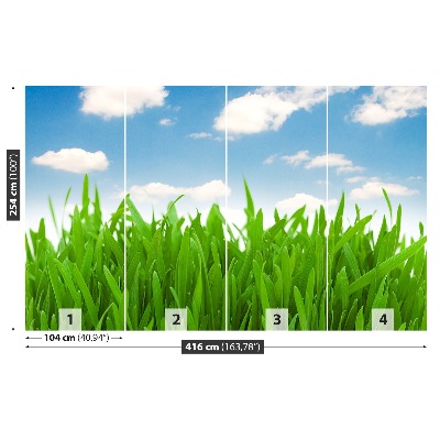 Mural de parede Céu de grama