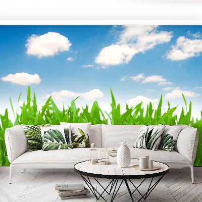 Mural de parede Céu de grama