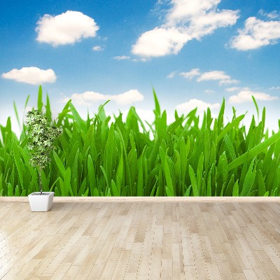 Mural de parede Céu de grama