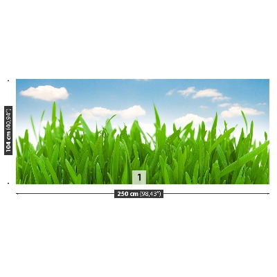 Mural de parede Céu de grama