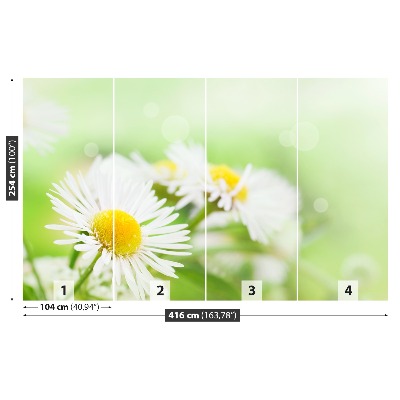 Papel de parede Margarida Verde