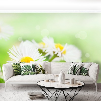 Papel de parede Margarida Verde