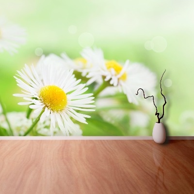 Papel de parede Margarida Verde