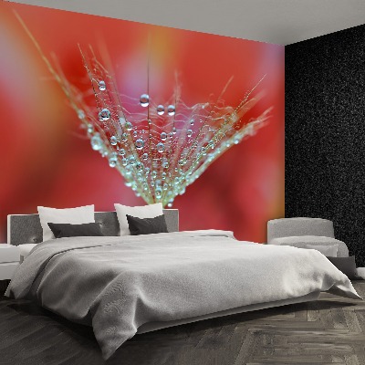 Mural de parede Dente-de-leão vermelho