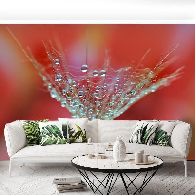 Mural de parede Dente-de-leão vermelho