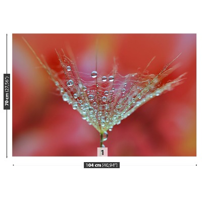 Mural de parede Dente-de-leão vermelho