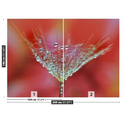 Mural de parede Dente-de-leão vermelho