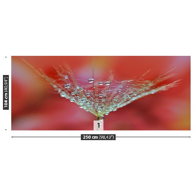 Mural de parede Dente-de-leão vermelho