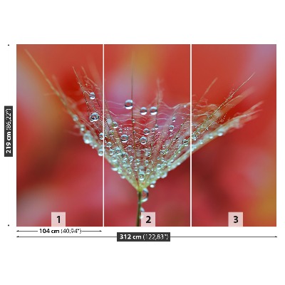 Mural de parede Dente-de-leão vermelho