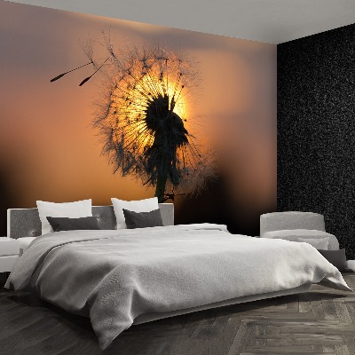 Papel de parede Sol dente-de-leão