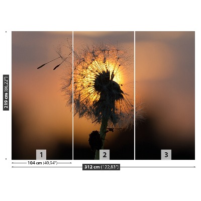 Papel de parede Sol dente-de-leão