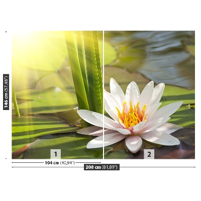 Mural de parede Lótus e Lagoa