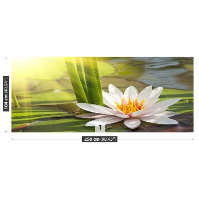 Mural de parede Lótus e Lagoa