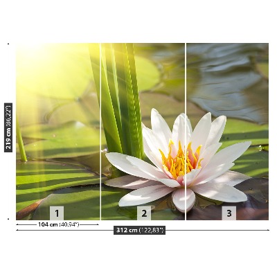 Mural de parede Lótus e Lagoa