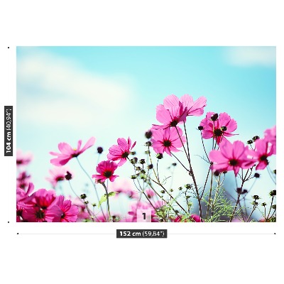 Papel de parede Céu de flores