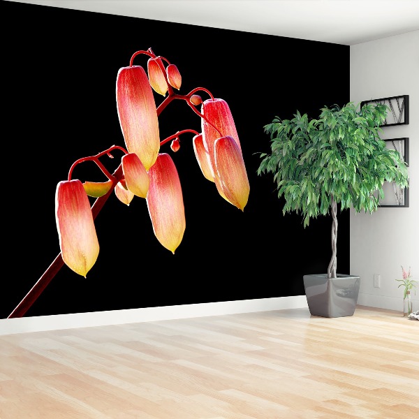 Mural de parede Flores Negras