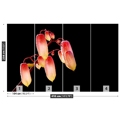 Mural de parede Flores Negras