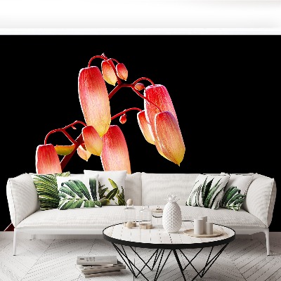 Mural de parede Flores Negras