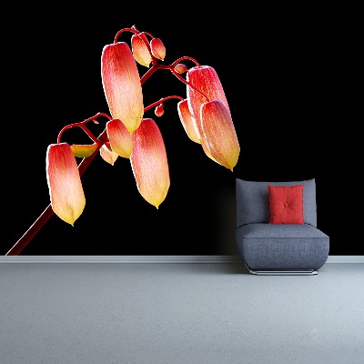 Mural de parede Flores Negras