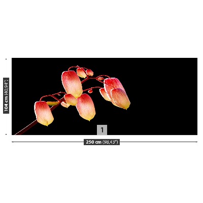 Mural de parede Flores Negras