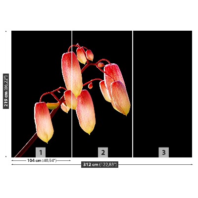 Mural de parede Flores Negras