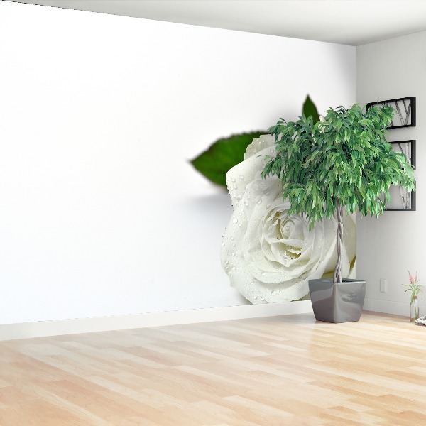 Mural de parede Rosa branca