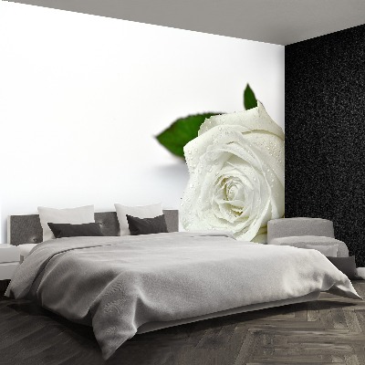 Mural de parede Rosa branca