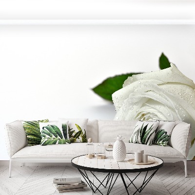 Mural de parede Rosa branca