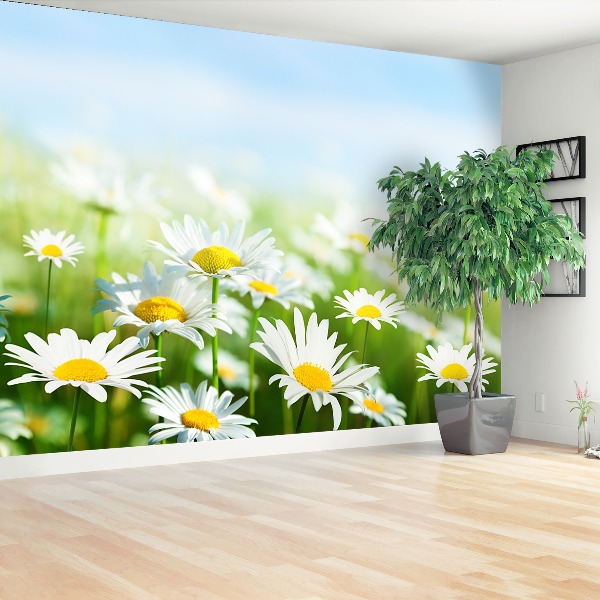 Papel de parede Margarida Verde