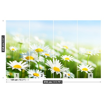 Papel de parede Margarida Verde