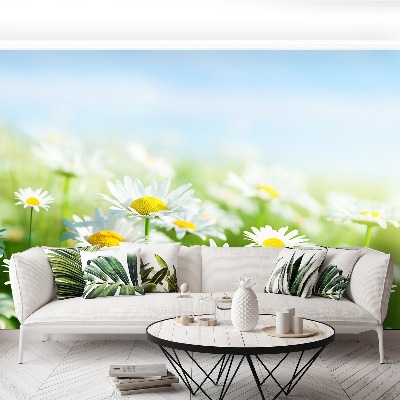 Papel de parede Margarida Verde